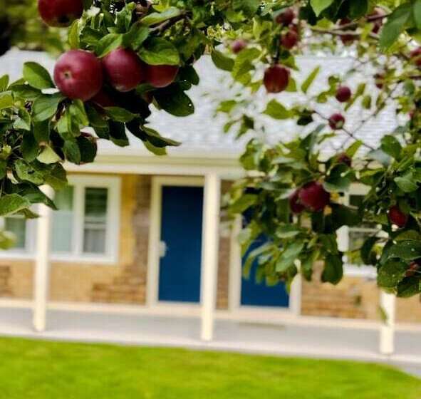 فندق على الطريق Eagle Wing Inn   Cape Cod