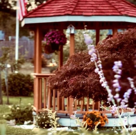 فندق على الطريق Eagle Wing Inn   Cape Cod