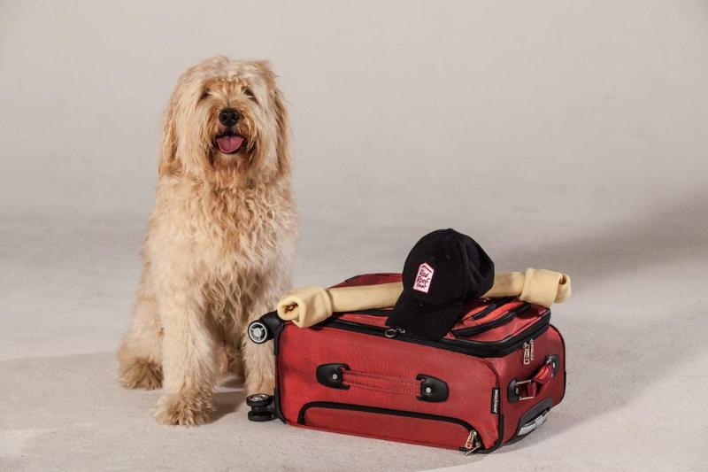 モーテル Red Roof Inn Williamsburg