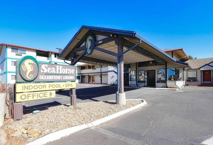Мотель Seahorse Oceanfront Lodging