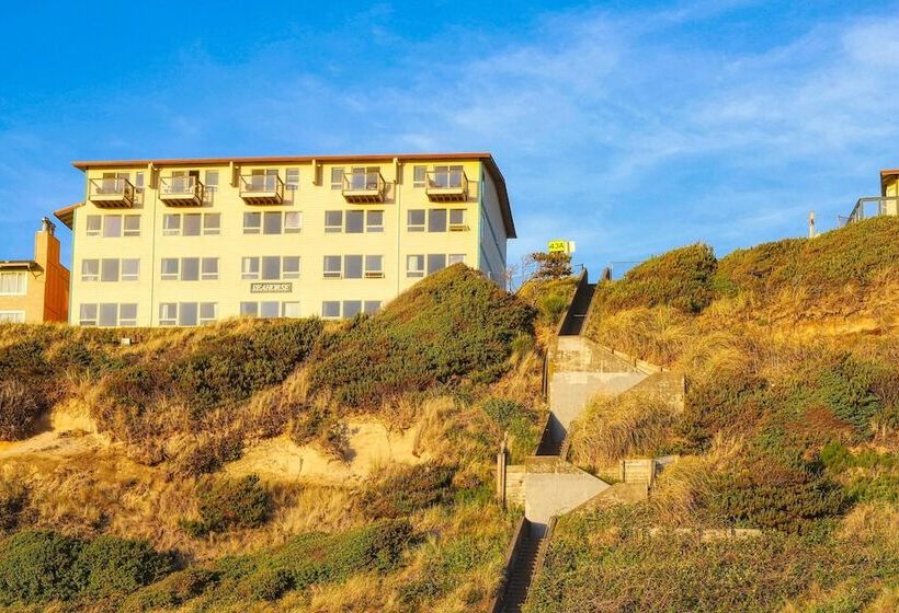 Мотель Seahorse Oceanfront Lodging