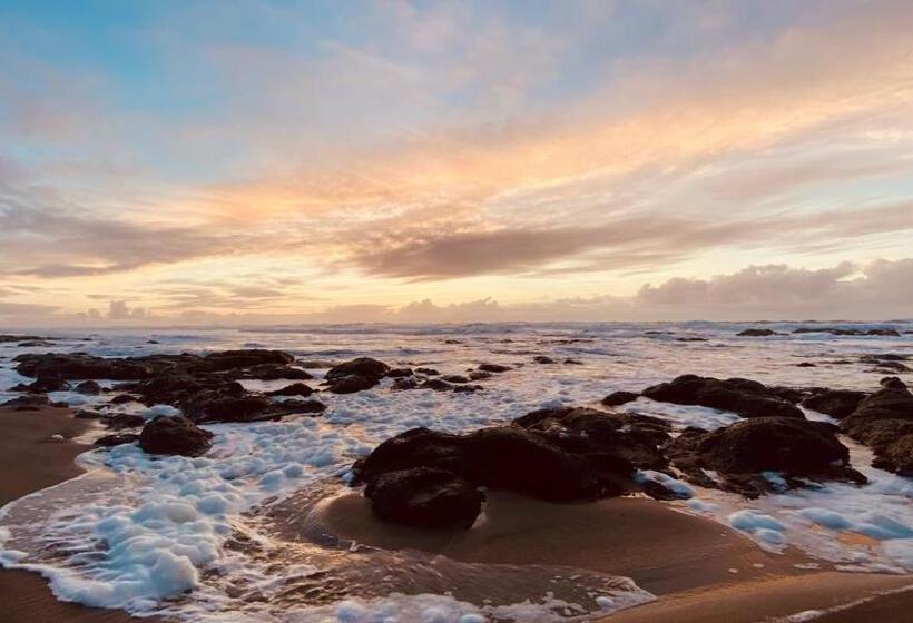 Мотель Seahorse Oceanfront Lodging