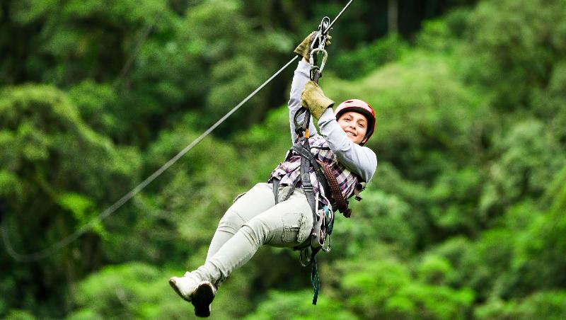 فندق على الطريق Stratford Motor Inn East Ellijay