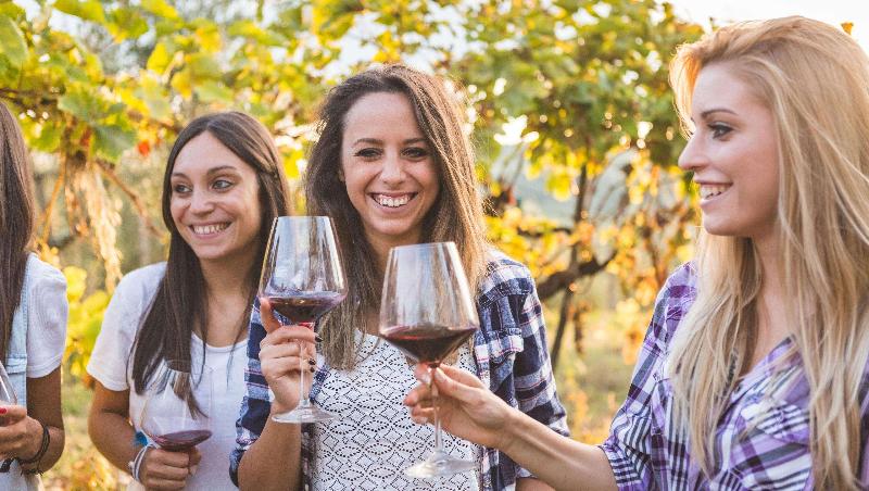 فندق على الطريق Stratford Motor Inn East Ellijay