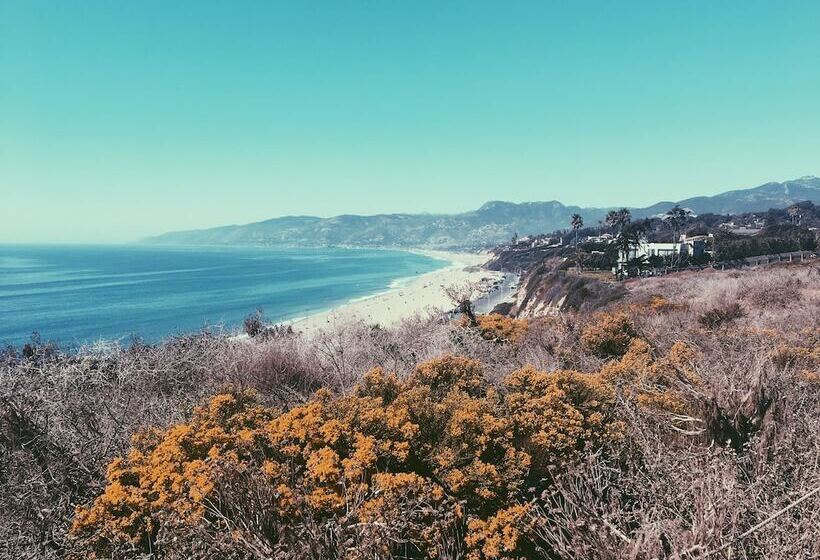 Мотель The M Malibu