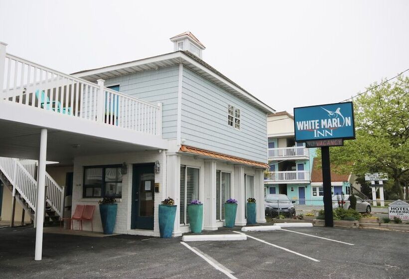 汽车旅馆  White Marlin Inn
