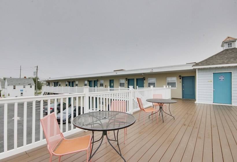 汽车旅馆  White Marlin Inn