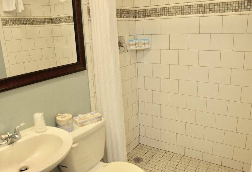 汽车旅馆  White Marlin Inn