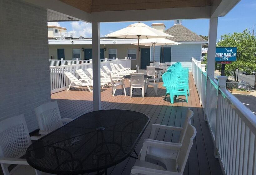 汽车旅馆  White Marlin Inn