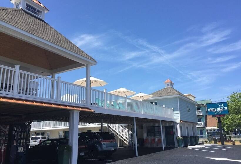 汽车旅馆  White Marlin Inn