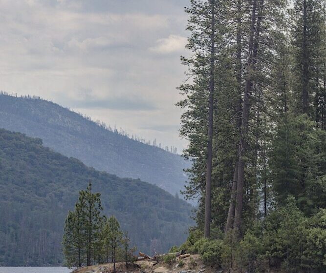 منتجع Worldmark Arrow Point