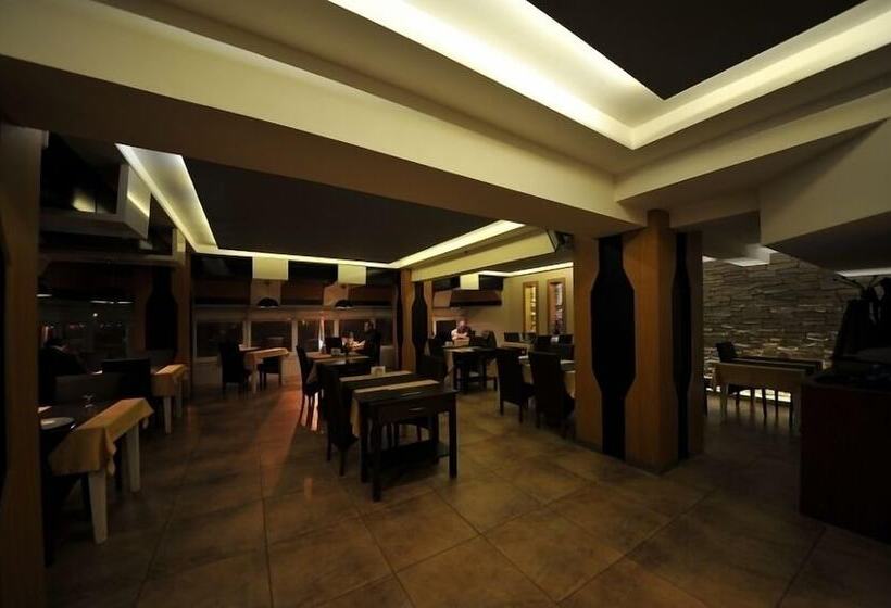 호텔 Sakarya Grand