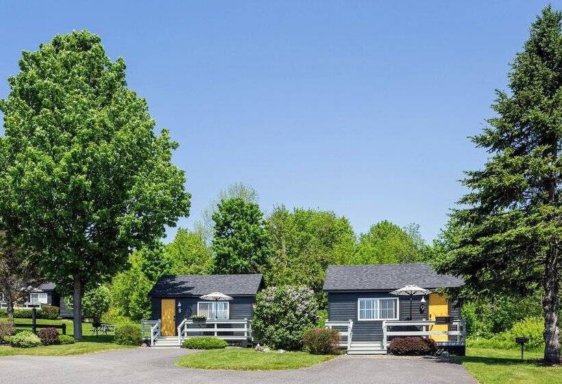 Seascape Motel & Cottages