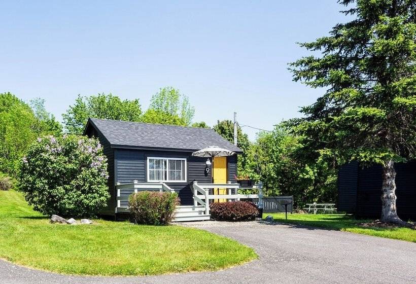 Seascape Motel & Cottages