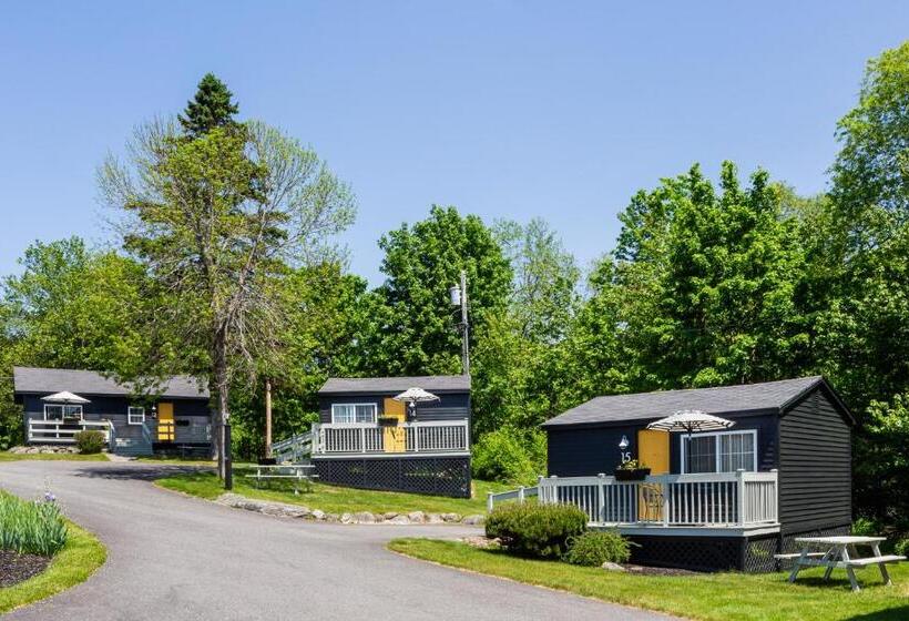 Seascape Motel & Cottages