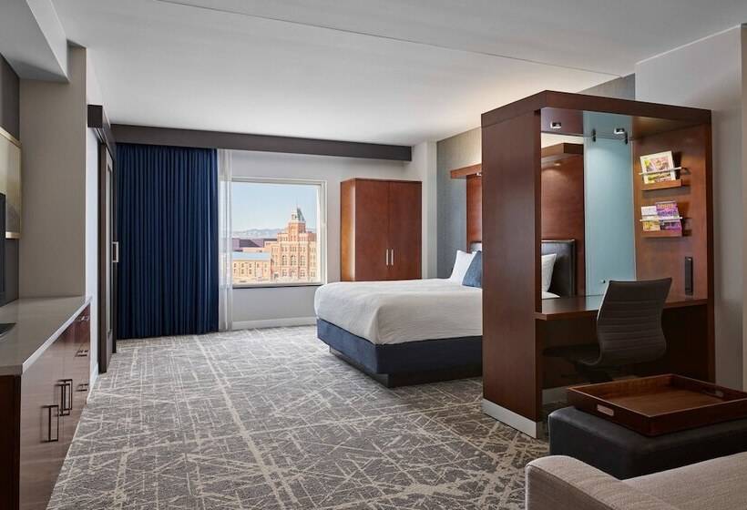 Springhill Suites By Marriott Denver Downtown