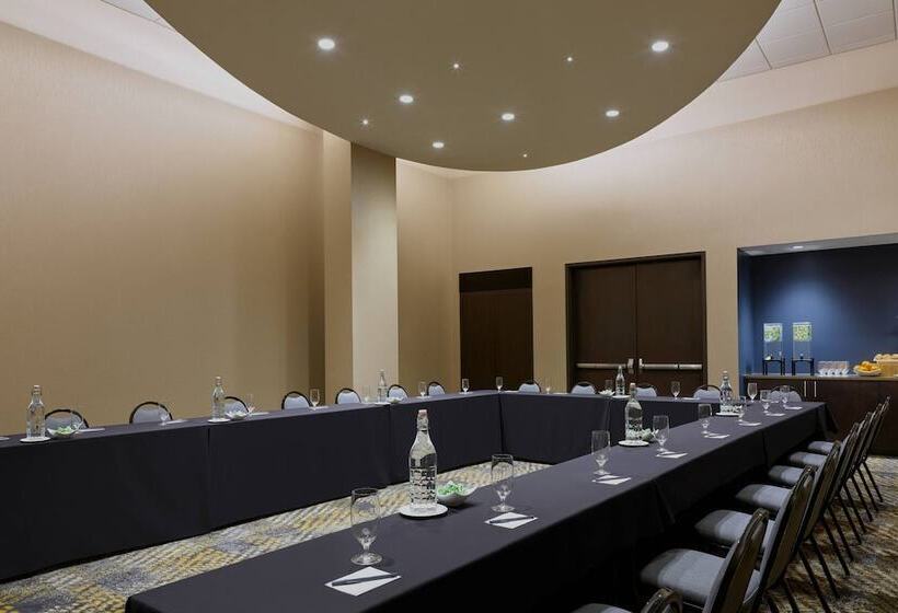 Springhill Suites By Marriott Denver Downtown