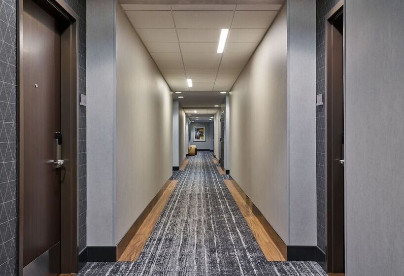 Springhill Suites By Marriott Denver Downtown