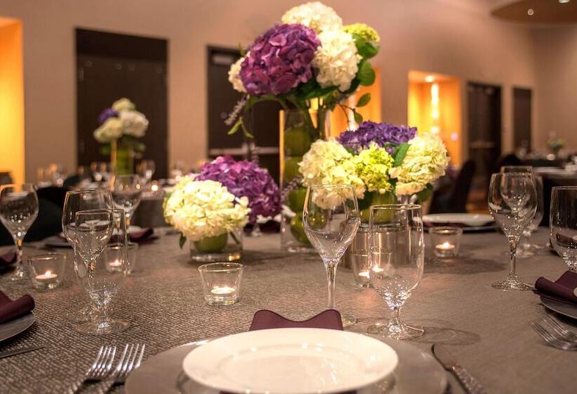 Springhill Suites By Marriott Denver Downtown