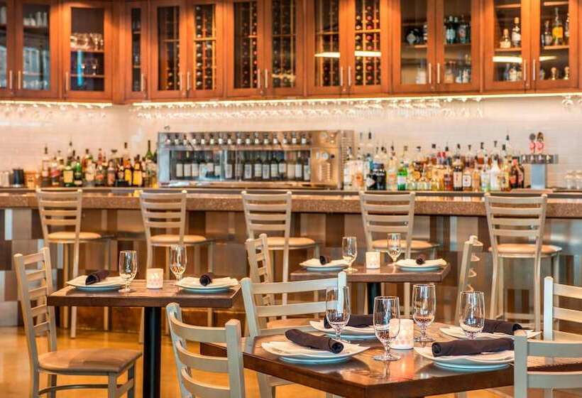 Springhill Suites By Marriott Denver Downtown