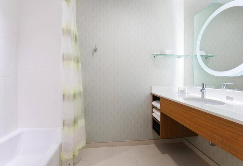 Springhill Suites By Marriott Midland Odessa