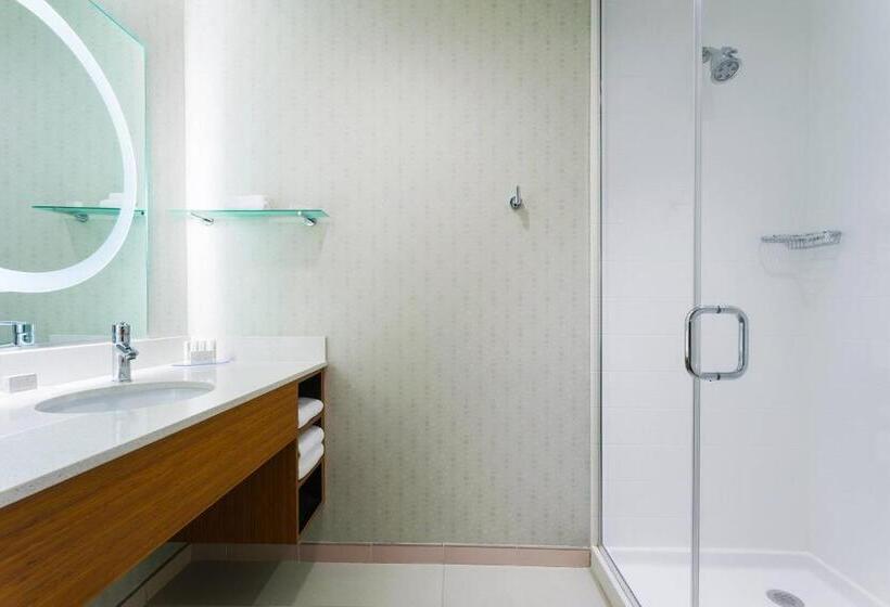 Springhill Suites By Marriott Midland Odessa