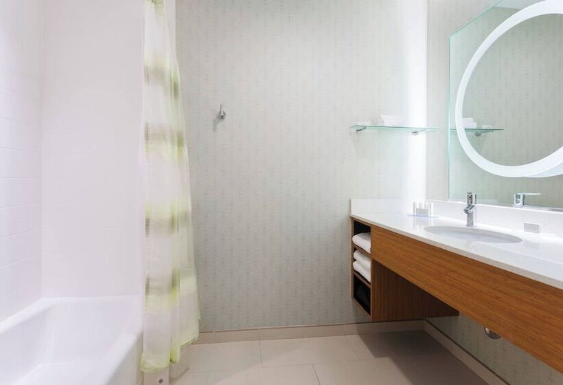 Springhill Suites By Marriott Midland Odessa