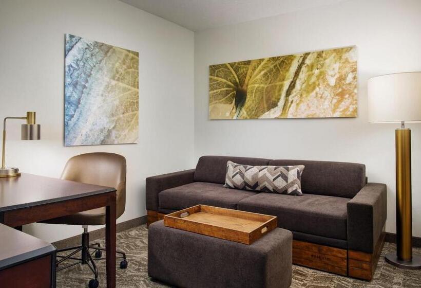 Springhill Suites Richmond Northwest