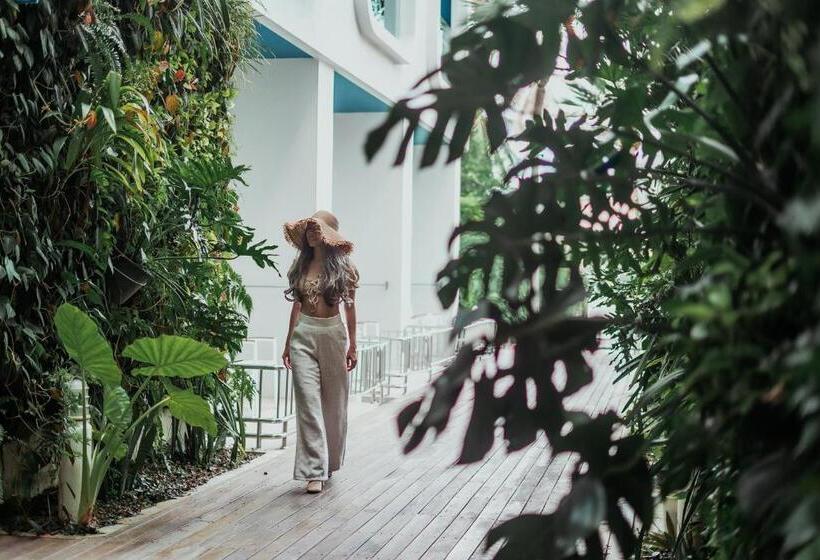 리조트 Sugar Marina Hotel   Nautical   Kata Beach   Sha Plus