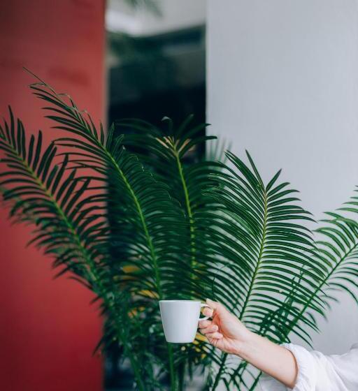 리조트 Sugar Marina Hotel   Nautical   Kata Beach   Sha Plus