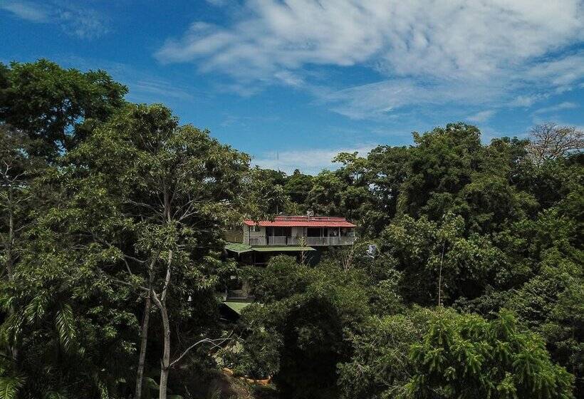 בית מלון כפרי Hostel Manuel Antonio