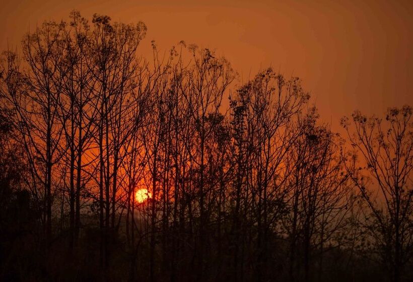 ホテル Roukh Kiri Khaoyai, The Centara Collection