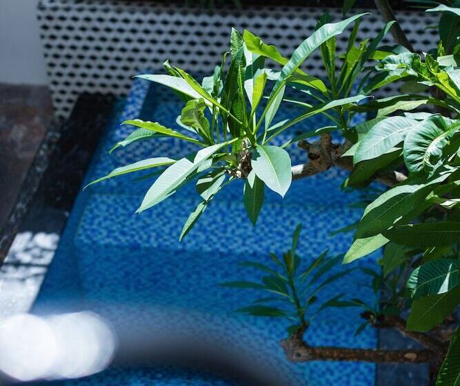 Grand Villa Residence 2