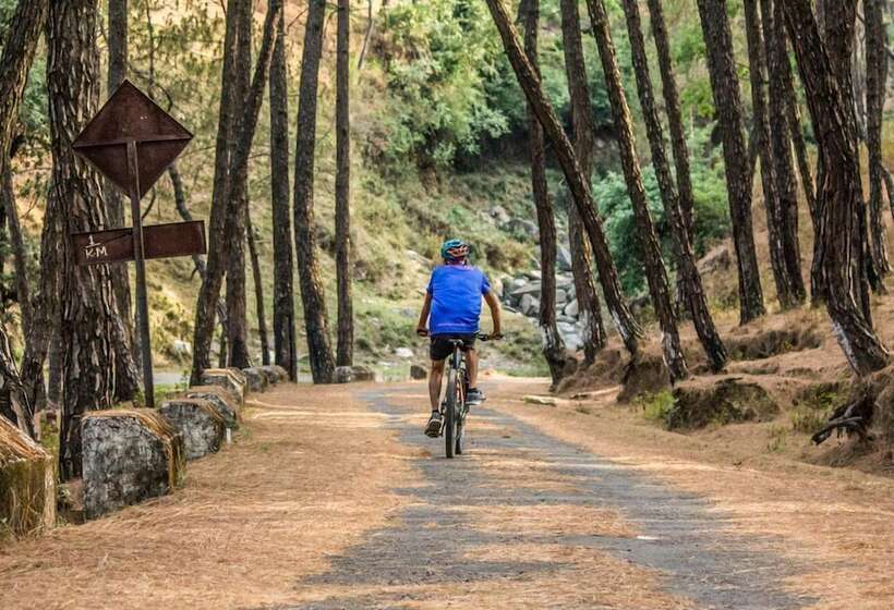 호텔 Billing Vista Guest House