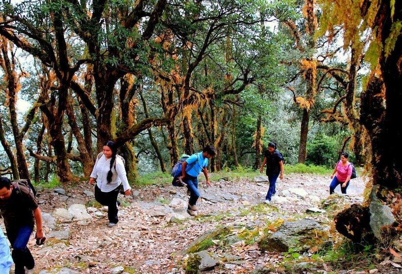 호텔 Billing Vista Guest House