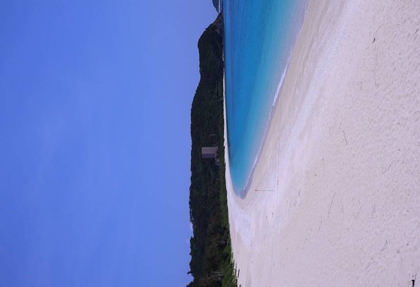 בית מלון כפרי Minshuku Robinson