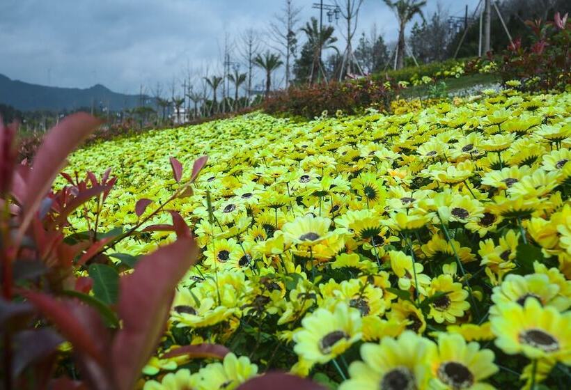 호텔 Qiaofeng Xingzilin