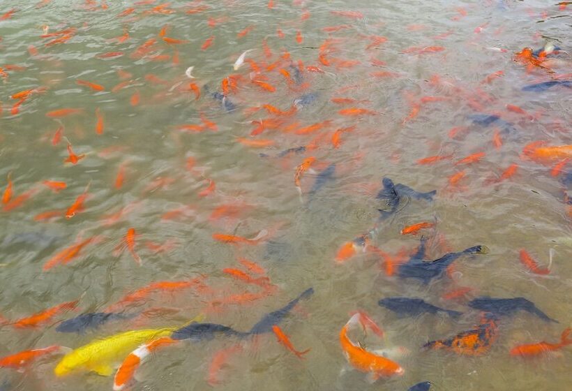 호텔 Qiaofeng Xingzilin