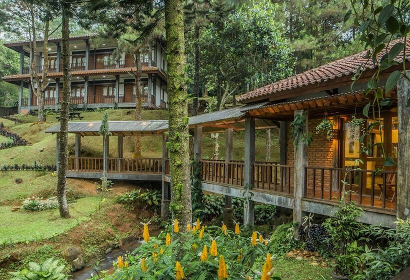 ペンション Griya Dunamis By Sabda