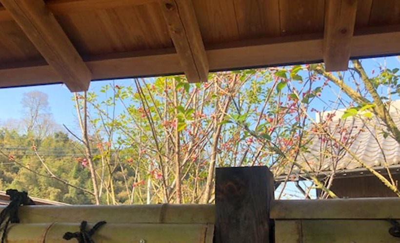 ペンション Mannou Seiryuan