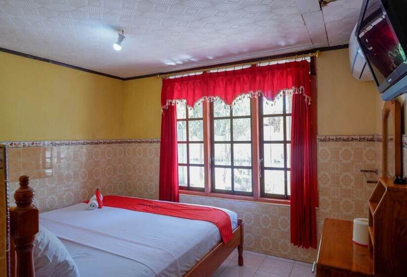 Пансион Reddoorz Near Lakota Beach Tomia Wakatobi