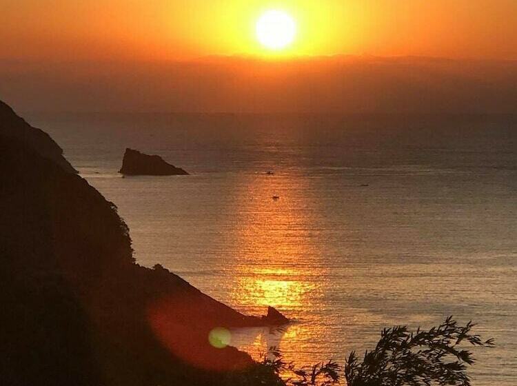 بنسيون Tennyoza