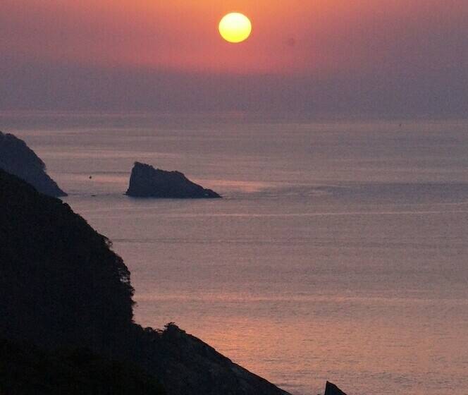 بنسيون Tennyoza