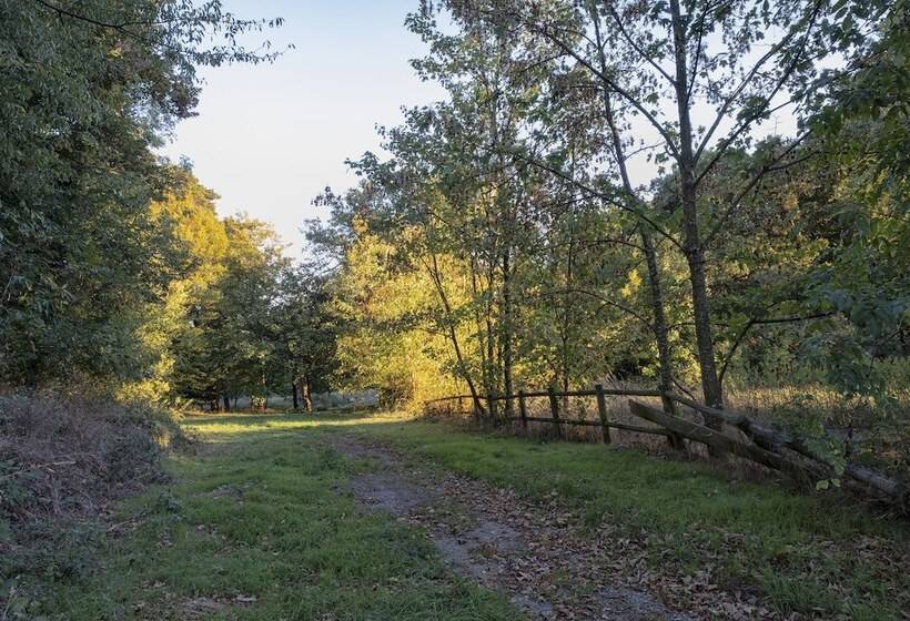 Отель Chateau De Tressé