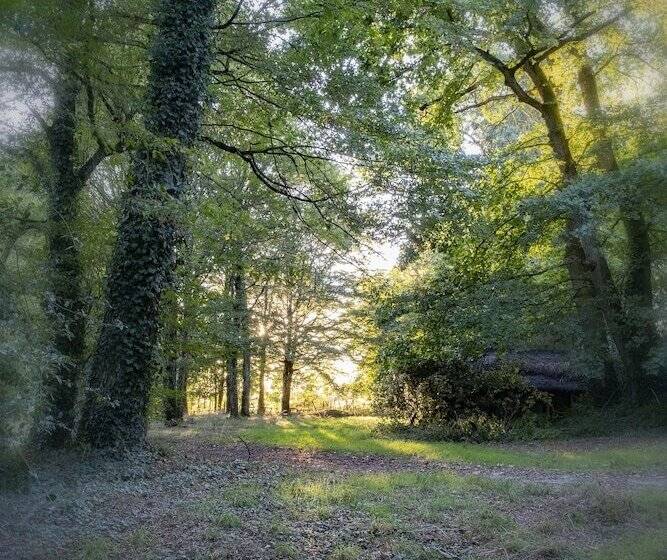 Отель Chateau De Tressé
