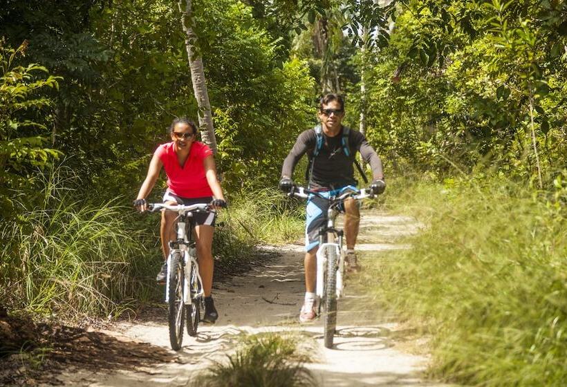 Отель Chateau De Tressé