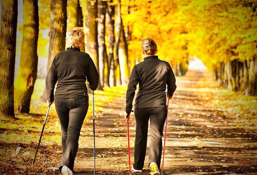 Отель Chateau De Tressé