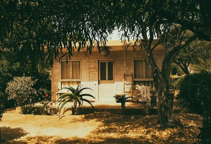 בית מלון כפרי Ocean Vagabond Dakhla