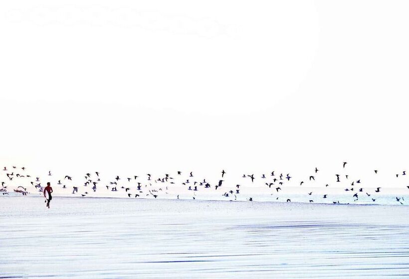 בית מלון כפרי Ocean Vagabond Dakhla