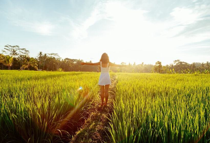 Hotel Podpadi Design Spaces